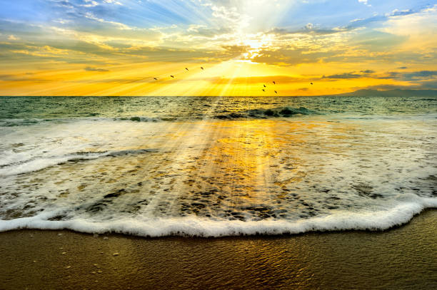 istock Ocean Sunset Divine Water Baptism 1332003529