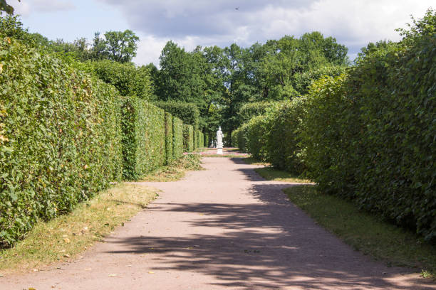 Replica of a Roman statue with several defects and some Roman columns also placed in my garden. They are right in front of a wall full of plants. Copy Space
