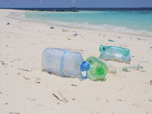 istock Scenic view of tropical beach littered in garbage 1332007413