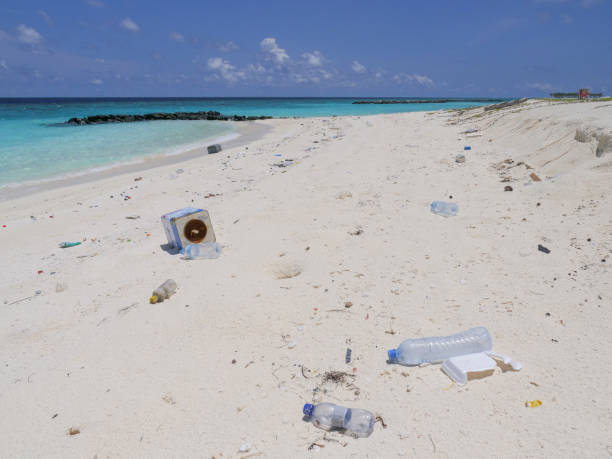 istock Scenic view of tropical beach littered in garbage 1332007414