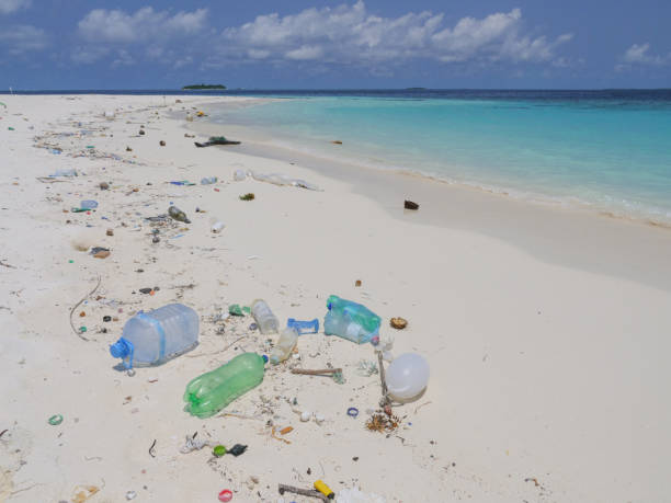istock Scenic view of tropical beach littered in garbage 1332007415