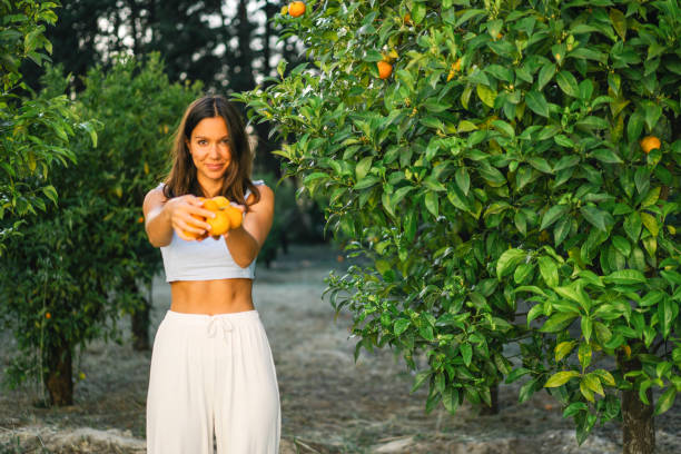 istock Young woman holds freshly picked oranges from tree 1332007661
