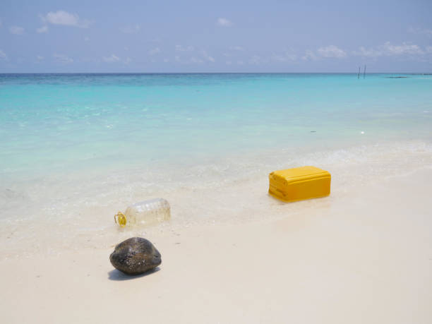 istock Scenic view of tropical beach littered in garbage 1332008227