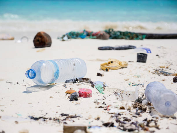 istock Close up of tropical beach littered in garbage 1332008233