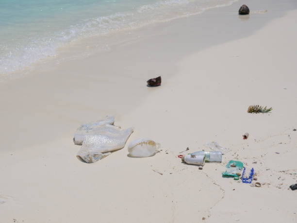 istock Scenic view of tropical beach littered in garbage 1332008238