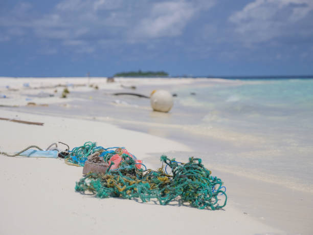 istock Scenic view of tropical beach littered in garbage 1332008364