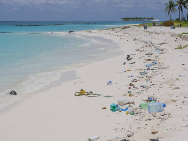 istock Scenic view of tropical beach littered in garbage 1332008461