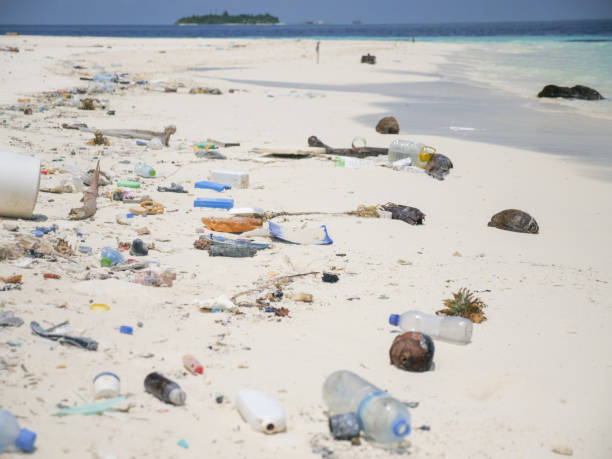 istock Scenic view of tropical beach littered in garbage 1332008466