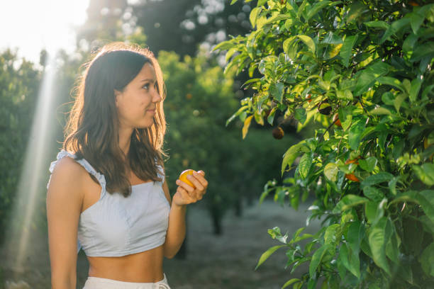 istock Young woman picks ripe oranges on a summer morning 1332008468