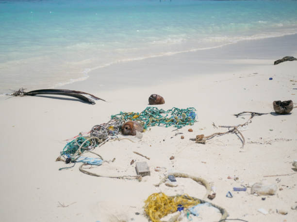 istock Scenic view of tropical beach littered in garbage 1332008572