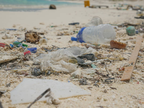 istock Close up of tropical beach littered in garbage 1332008729
