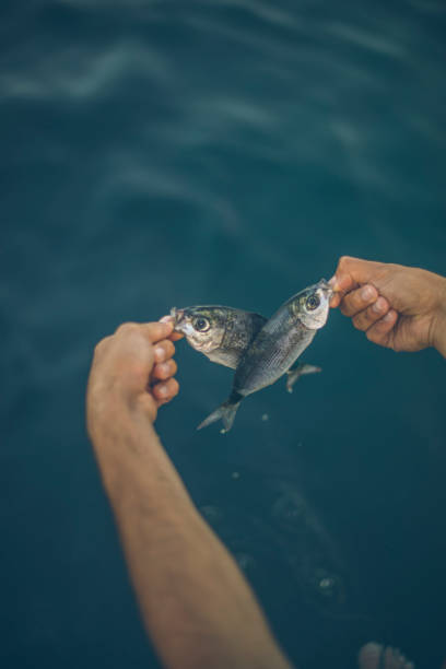 Fishing on the Adriatic sea