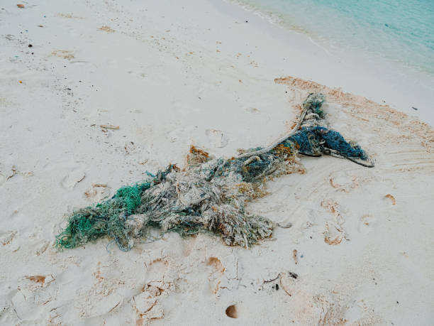 istock Scenic view of tropical beach littered in garbage 1332009621