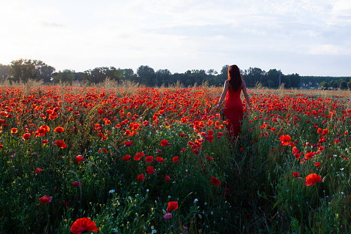 happy woman in a red dress in a poppy field