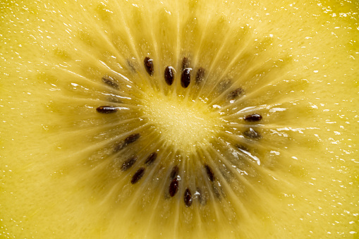 Close-up of the center of a juicy golden kiwi. 
Shot with a 35-mm full-frame Sony A7R IV with FE 90mm F2.8 Macro-lens.