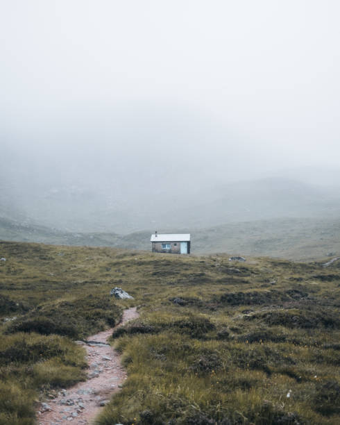 Cabin with path leading to it and covered in fog