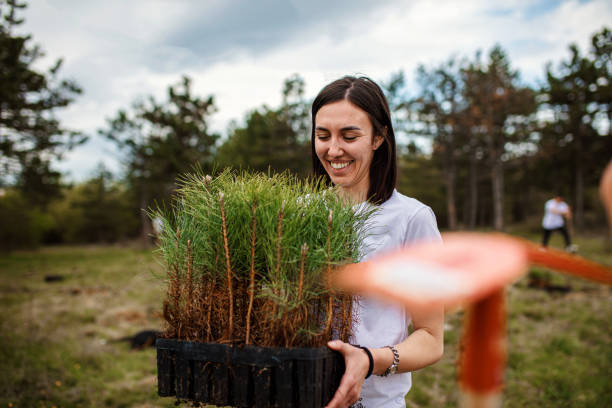 istock A young woman is planting a pine tree in the forest 1332013694
