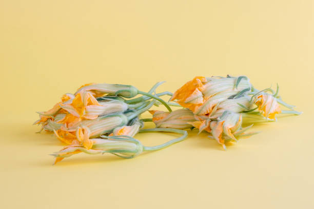 istock Many fresh zucchini flowers on yellow background with copy space 1332014403