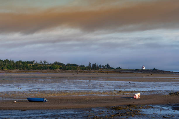 A moody landscape photograph of Gilbert's Cove and the lighthouse at low tide in the summer