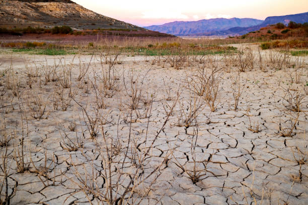 essiccazione del lago mead vicino a las vegas - nevada usa desert arid climate foto e immagini stock