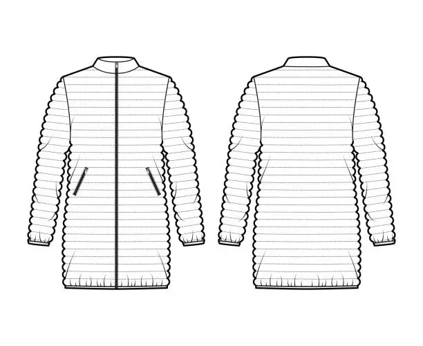 Vector illustration of Down puffer coat jacket technical fashion illustration with long sleeves, stand collar, hip length, narrow quilting