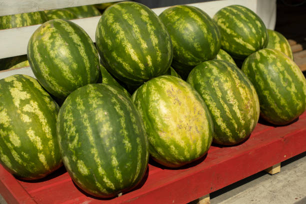 istock Watermelons on the counter. Delicious berries. 1332020974