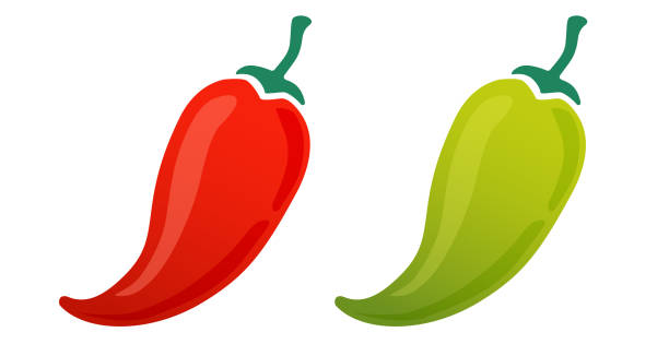 illustrations, cliparts, dessins animés et icônes de icônes vectorielles de jalapeno chaud et de piment. - red jalapeno