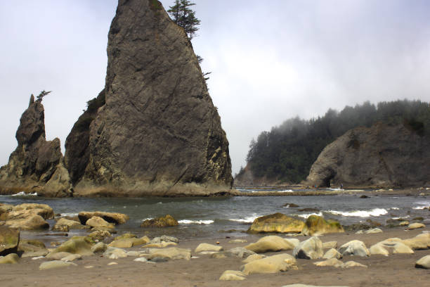 istock Rialto Beach Olympic National Park Washington; 1332024027