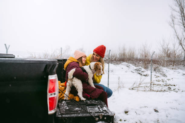 istock On the winter road trip with our dog 1332027329