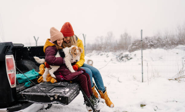 istock On the winter road trip with our dog 1332027340