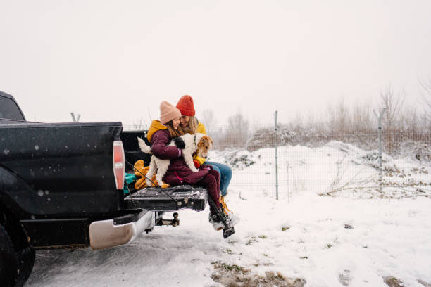 istock On the winter road trip with our dog 1332027342