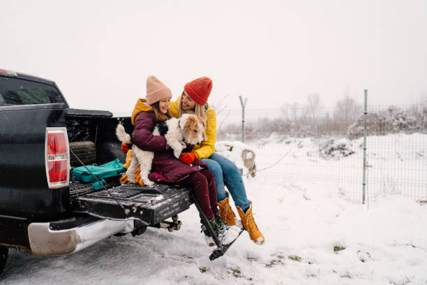 istock On the winter road trip with our dog 1332027343