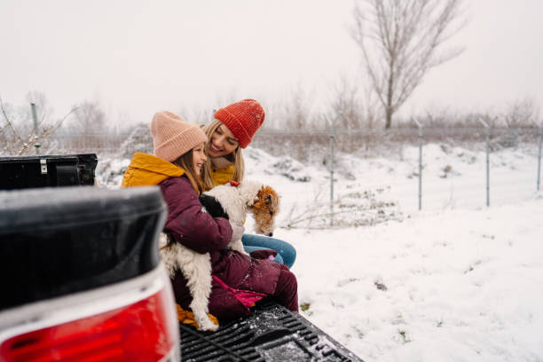 istock On the winter road trip with our dog 1332027370