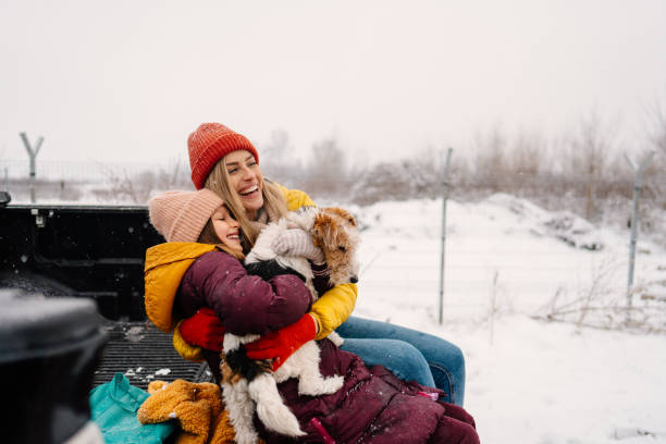 istock On the winter road trip with our dog 1332027908