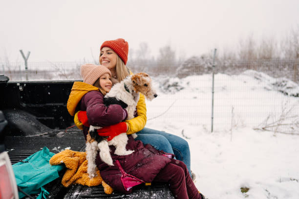 istock On the winter road trip with our dog 1332027910