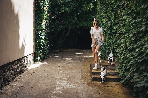 Young woman holding dog leash and walking with two dogs in alley