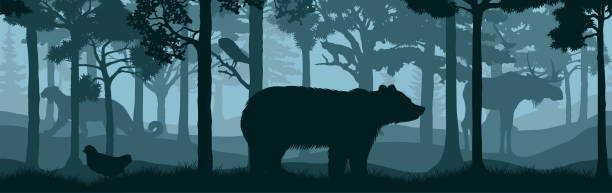 illustrazioni stock, clip art, cartoni animati e icone di tendenza di vector forest woodland trama senza soluzione di continuità modello con orso, puma, puma, puma, leone di montagna, lince, gufo fienile, alci e quaglie - great smoky mountains illustrations