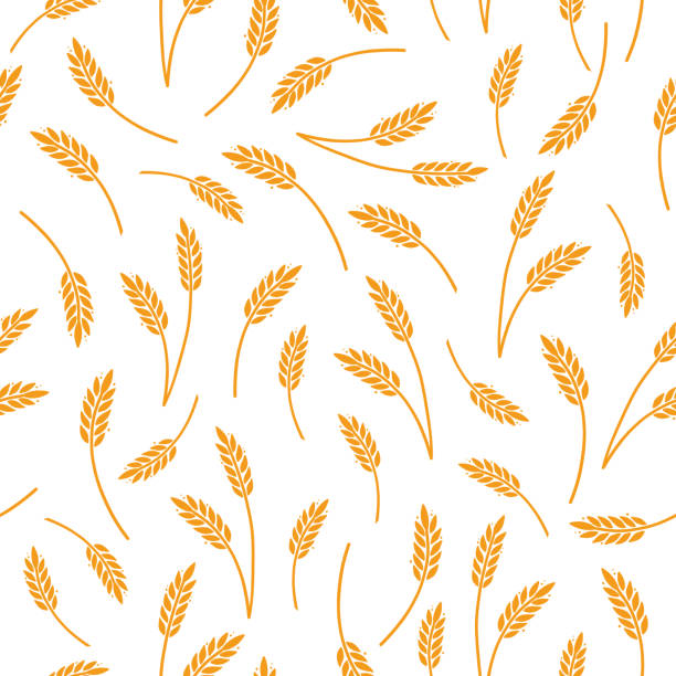 Wheat, barley, rice pattern for cereal Wheat, barley, rice pattern for cereal background. Hand drawn sketch style oat seamless pattern. Wheat vector illustration. oat crop stock illustrations