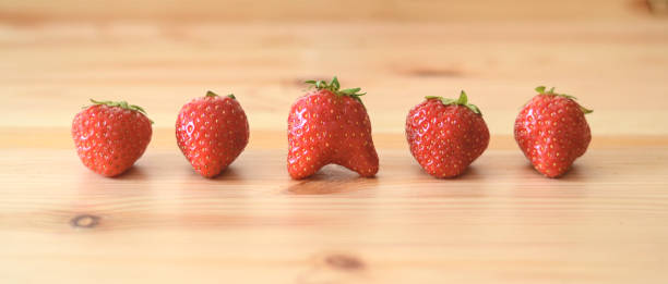 Strawberries of different shapes in a row on a wooden table stock photo