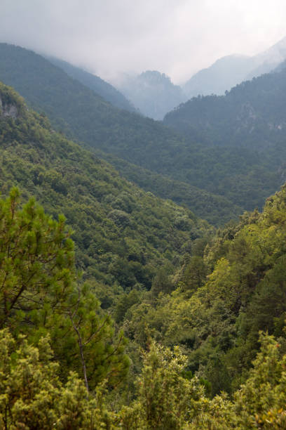 istock Valley of Mt Olympus, Greece 1332034477