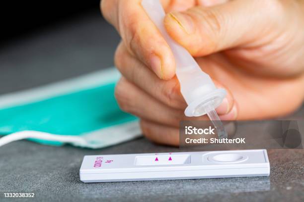 Drop Nasal Sample Into Rapid Antigen Test Stick Stock Photo - Download Image Now - Rapid Antigen Test, Medical Exam, Medical Test