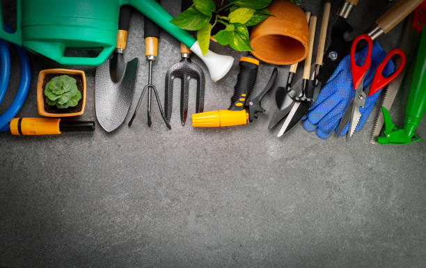 istock Gardening tools multiple instrument for your garden and flower 1332038357