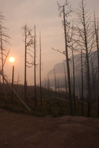 sunrise in glacier national park - sunrise cloudscape us glacier national park vertical imagens e fotografias de stock