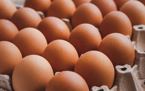 istock Egg, Chicken Egg in carton box ,Top view 1332040853