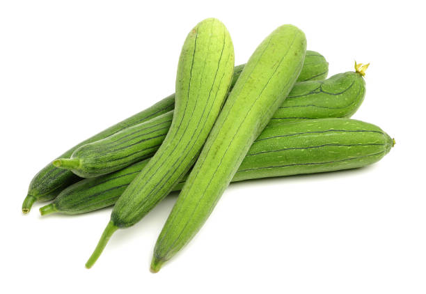 fresh loofah fresh loofah on the white background slate ridge stock pictures, royalty-free photos & images