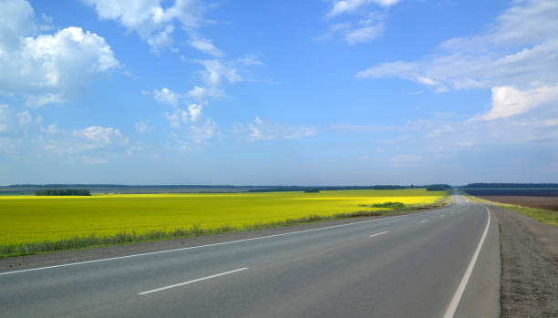 istock road, highway, field, sky, landscape, yellow 1332043835