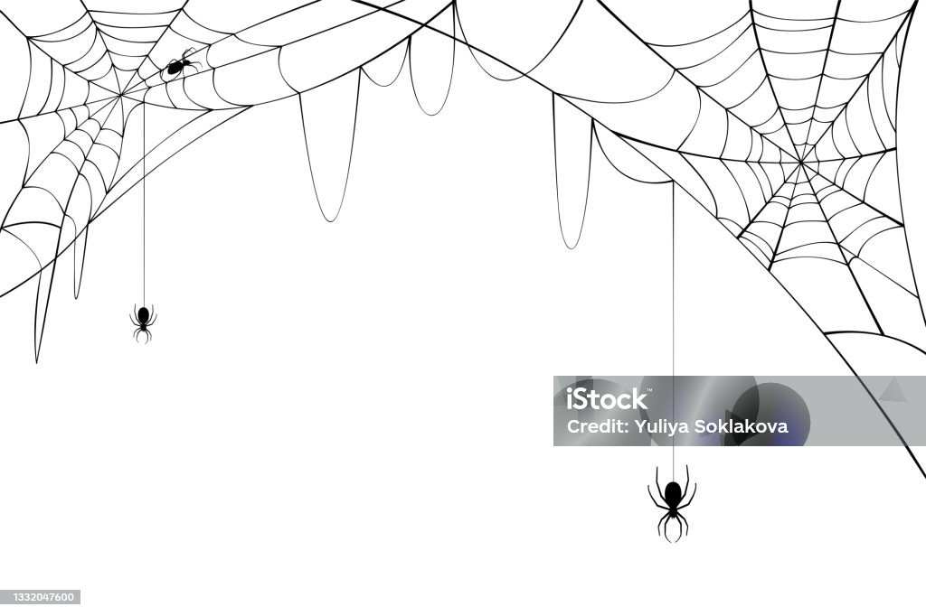 Schwarze Spinnen mit zerrissenen Netzen. Gruseliges Spinnennetz für Halloween. - Lizenzfrei Spinnennetz Vektorgrafik