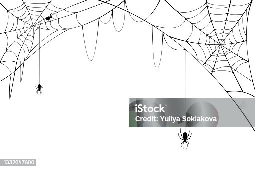 istock Black spiders with torn web. Scary spider web for Halloween. 1332047600