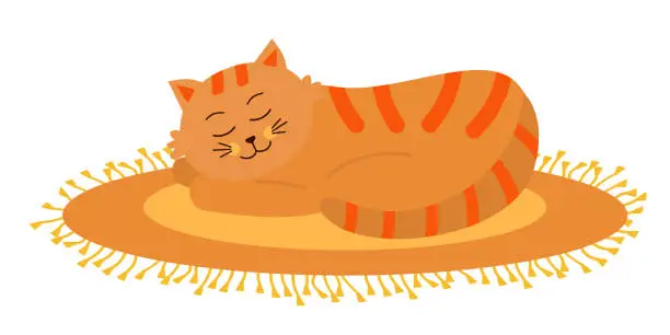 Vector illustration of Cute orange cat sleeping on oval fringed rug.