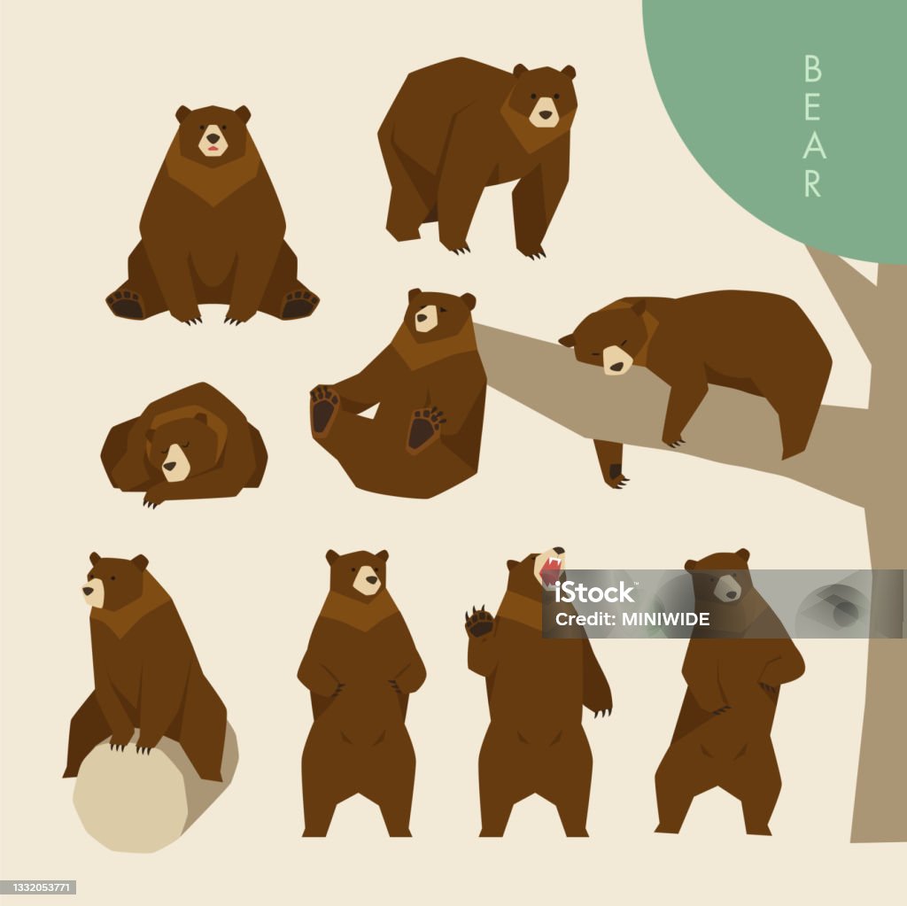 Tư Thế Dễ Thương Của Một Con Gấu Đáng Sợ Hình minh họa Sẵn có ...